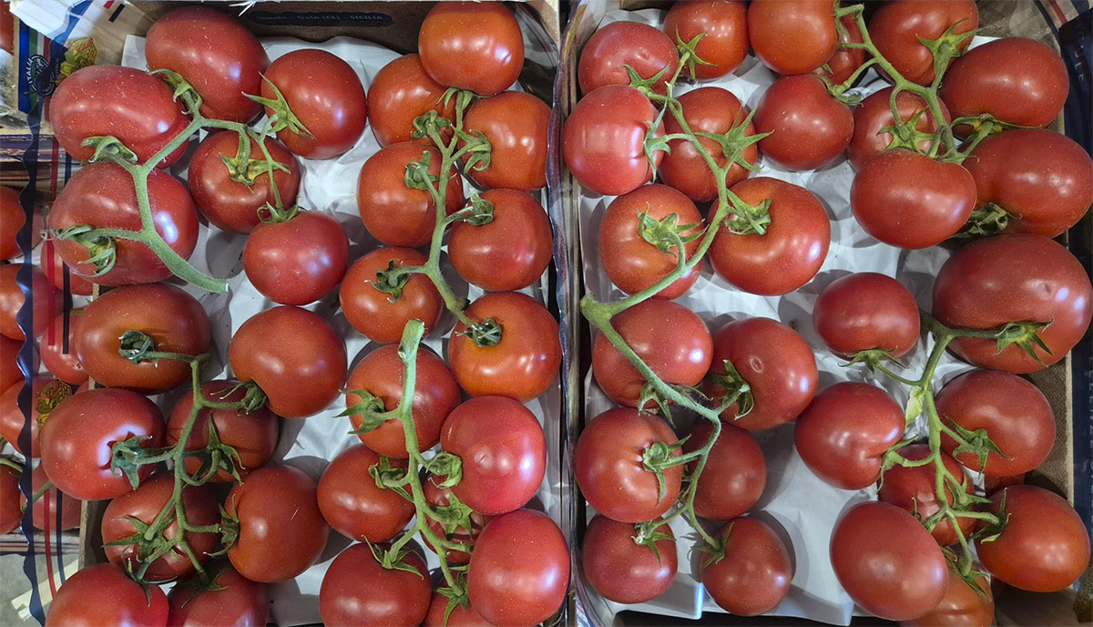 Grappolo - Estero -2 euro al chilogrammo